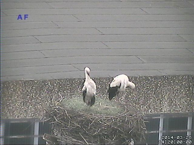 Bild